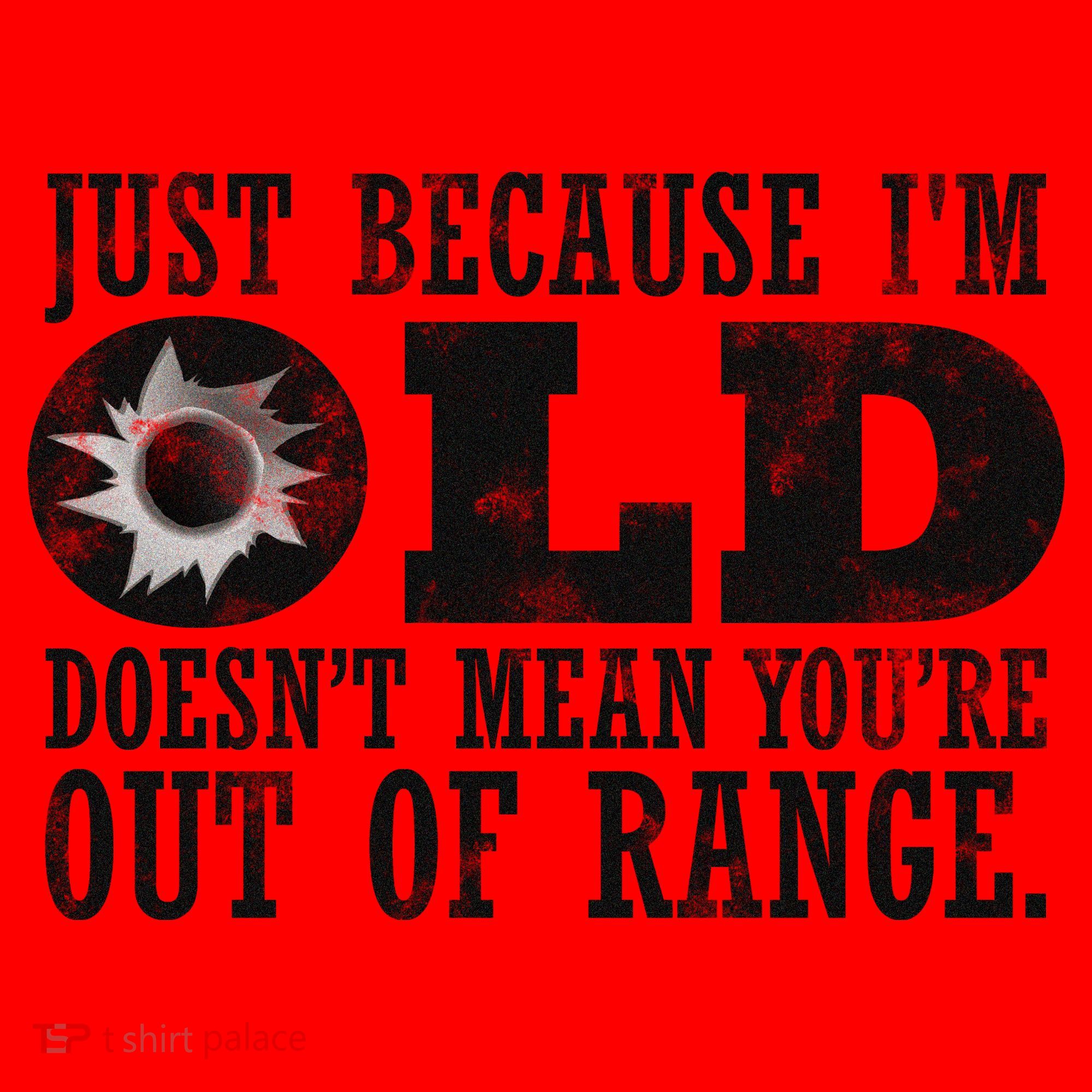 Just Because I'm Old Doesn't Mean Your Out Of Range Santa Hat