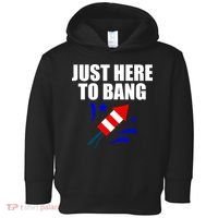 Just Here To Bang 4th Of  July Toddler Hoodie thumb 0