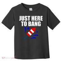 Just Here To Bang 4th Of  July Toddler T-Shirt thumb 0