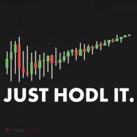 Just HODL It Moon Chart Crypto Currency Hoodie thumb 2