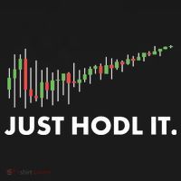 Just HODL It Moon Chart Crypto Currency Ornament thumb 1