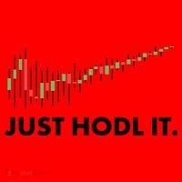 Just HODL It Moon Chart Crypto Currency Santa Hat thumb 1
