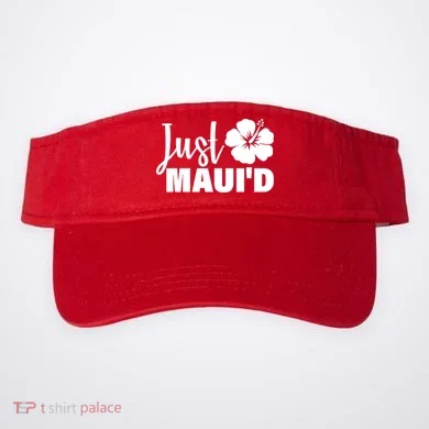 Visor