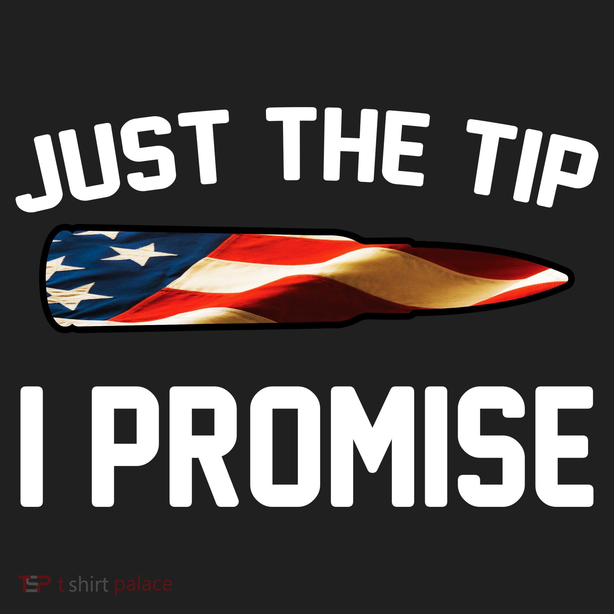 Just The Tip I Promise Tumbler
