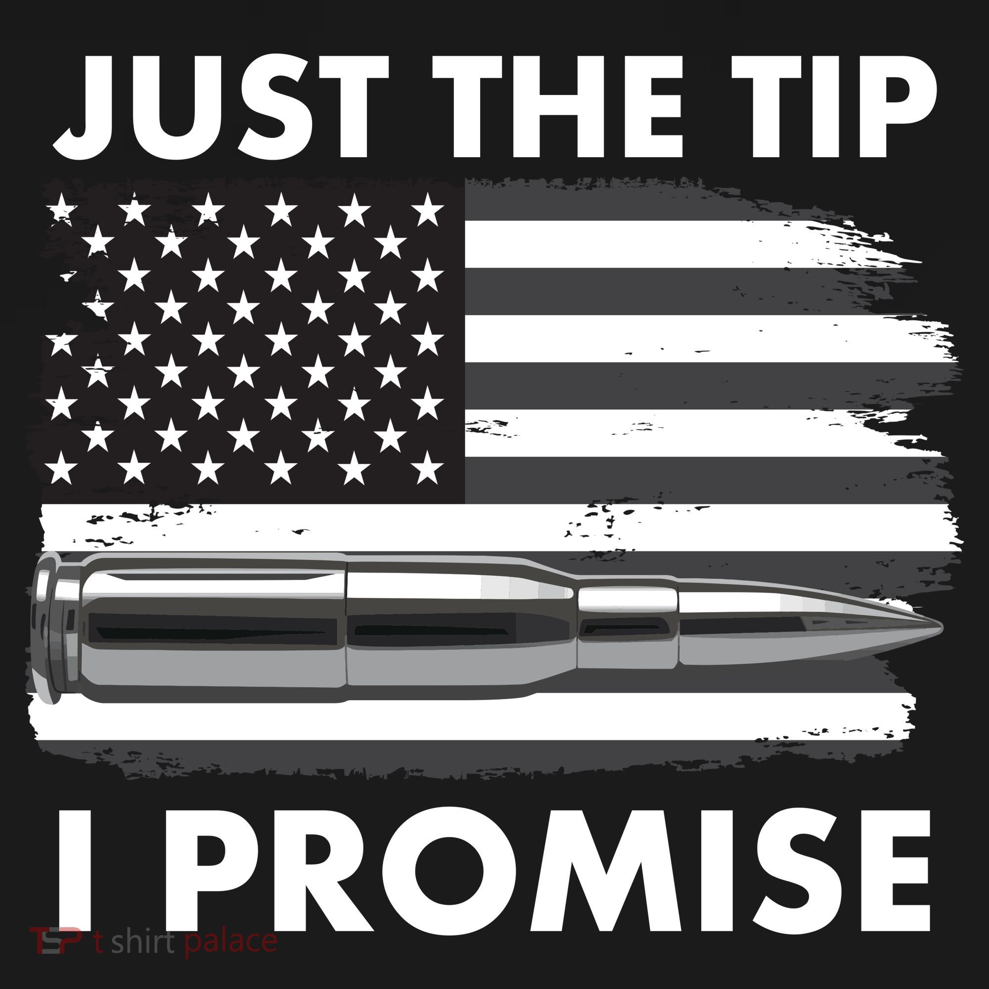 Just the Tip I Promise USA Bullet Flag Kids Sweatshirt