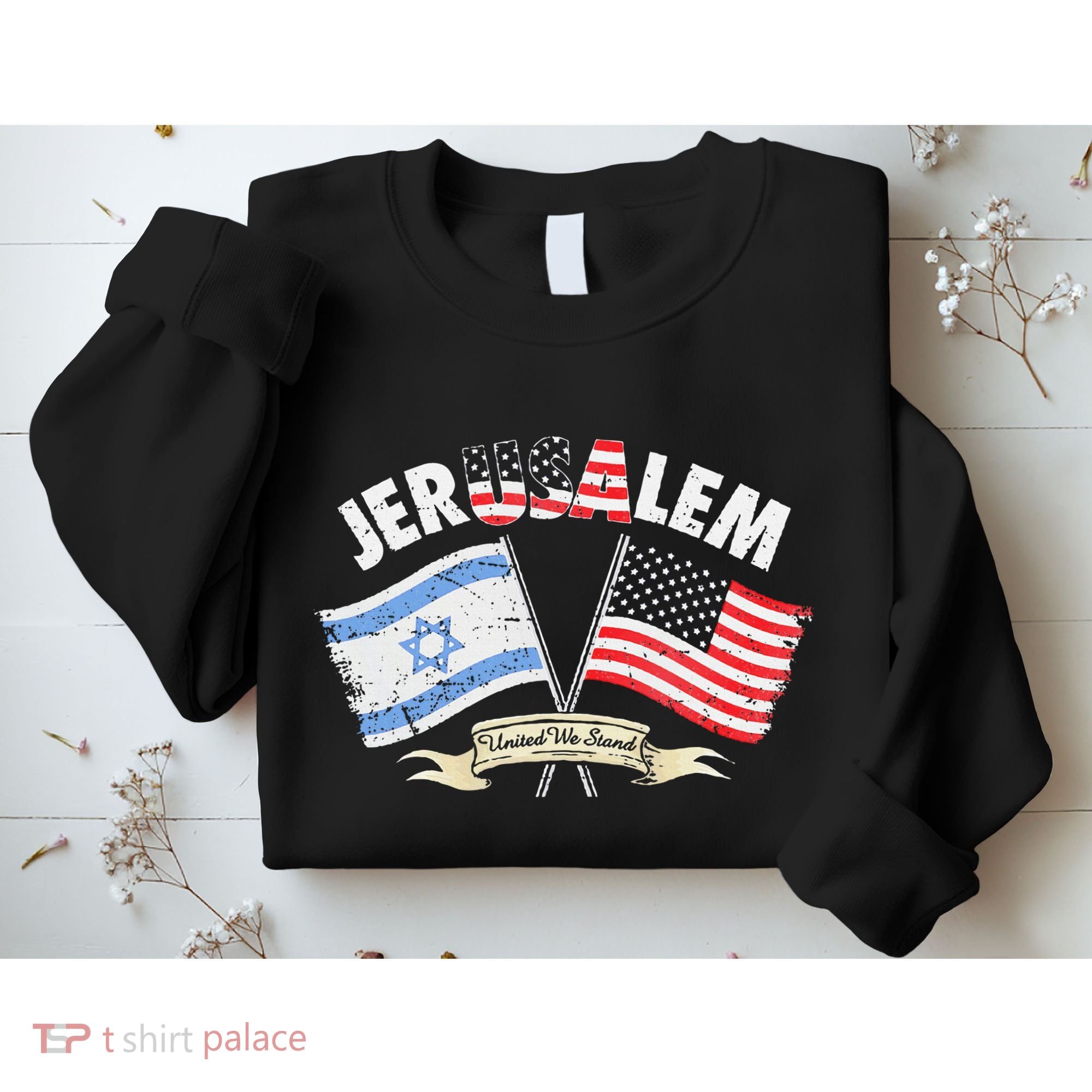 Jerusalem United We Stand Sweatshirt