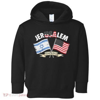 Jerusalem United We Stand Toddler Hoodie