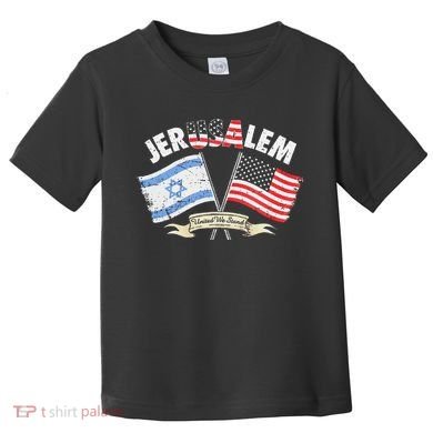 Jerusalem United We Stand Toddler T-Shirt