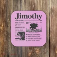 Jimothy Viral Backyard Raccoon Local Legend Coaster thumb 0