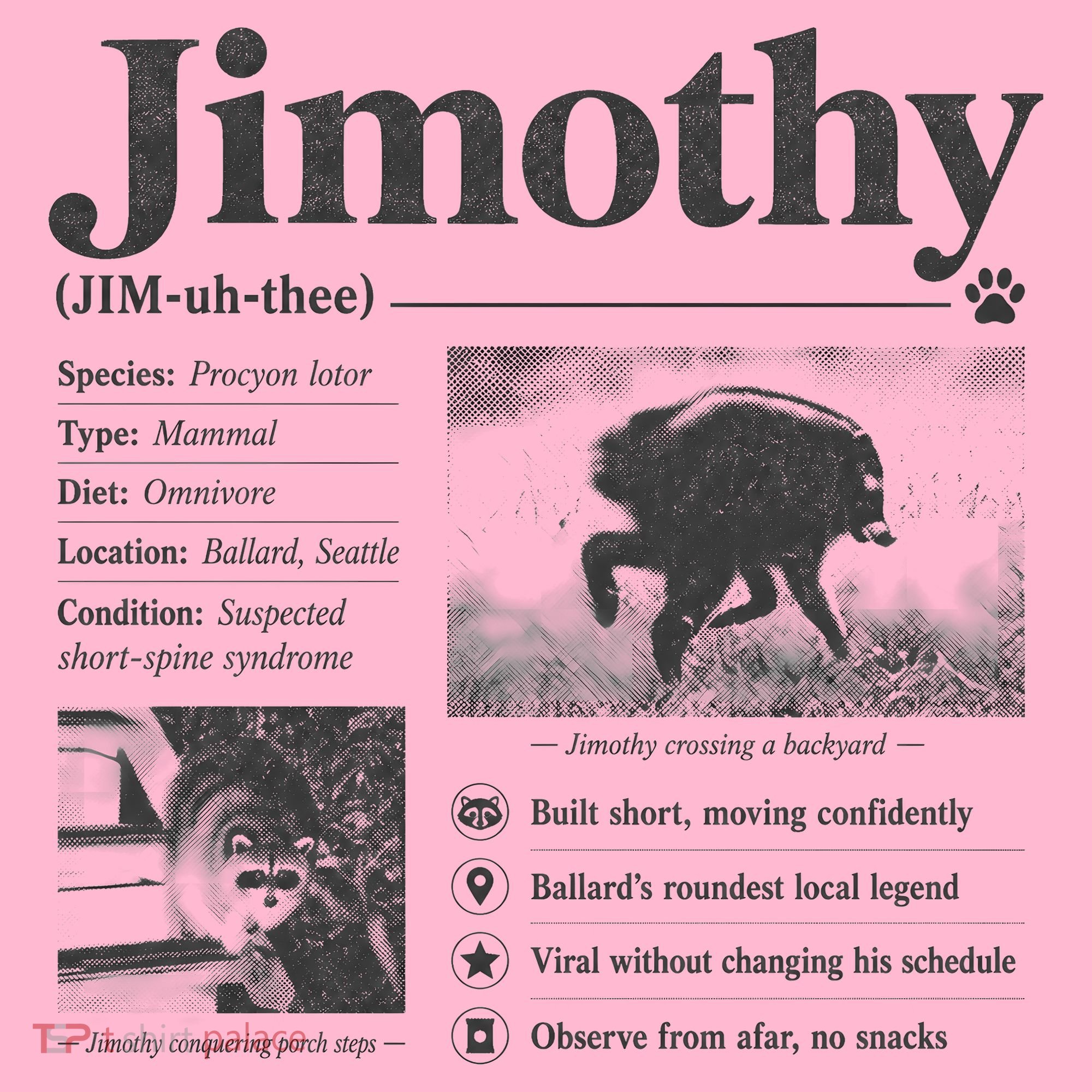 Jimothy Viral Backyard Raccoon Local Legend Coaster