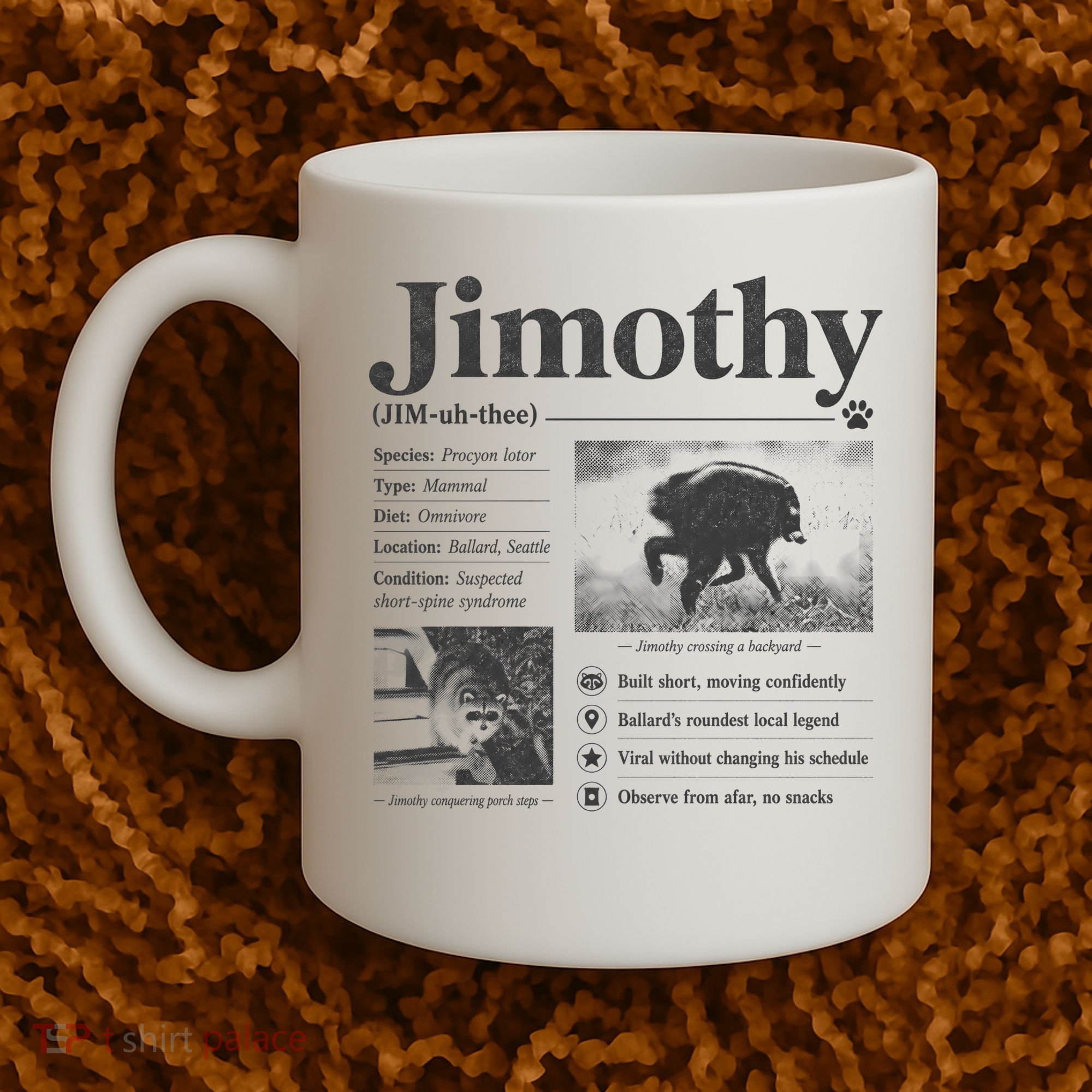 Jimothy Viral Backyard Raccoon Local Legend Coffee Mug