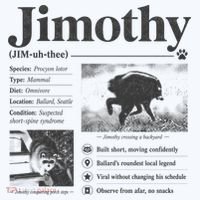 Jimothy Viral Backyard Raccoon Local Legend Coffee Mug thumb 5