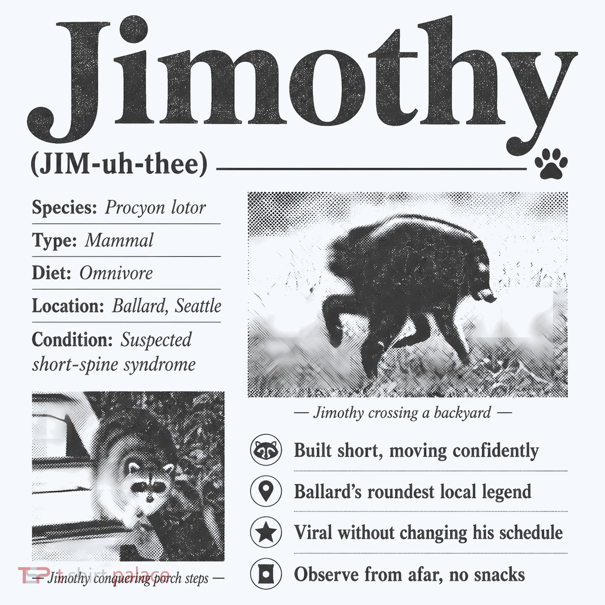Jimothy Viral Backyard Raccoon Local Legend Tumbler