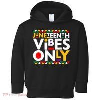 Juneteenth Vibes Only 1865 African American Toddler Hoodie thumb 0