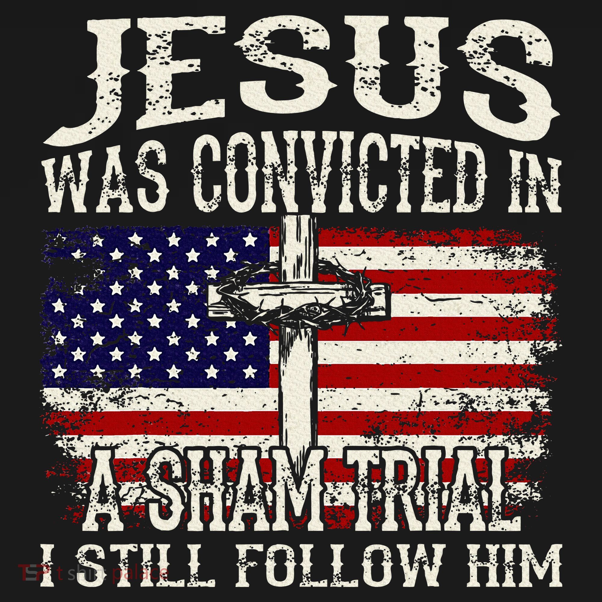 Jesus Was Convicted In A Sham Trial I Still Follow Him Hoodie