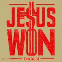 Jesus Won Just Here To Give God Glory John 16 33 Religious T-Shirt thumb 7