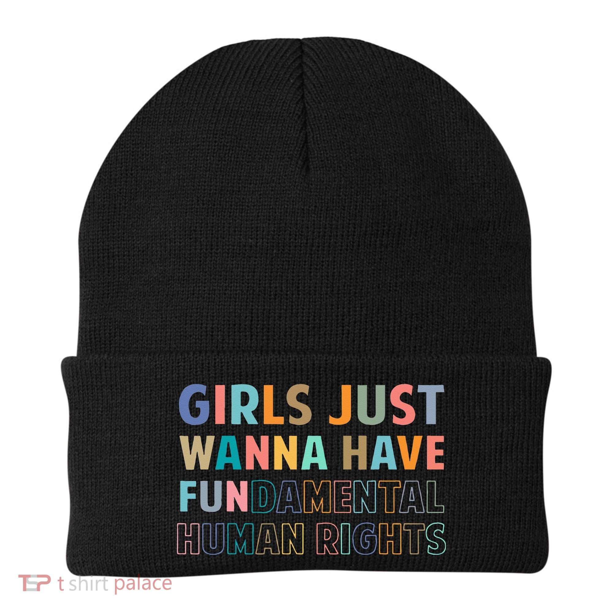 Just Want To Have Fundamental Human Rights Feminist Beanie