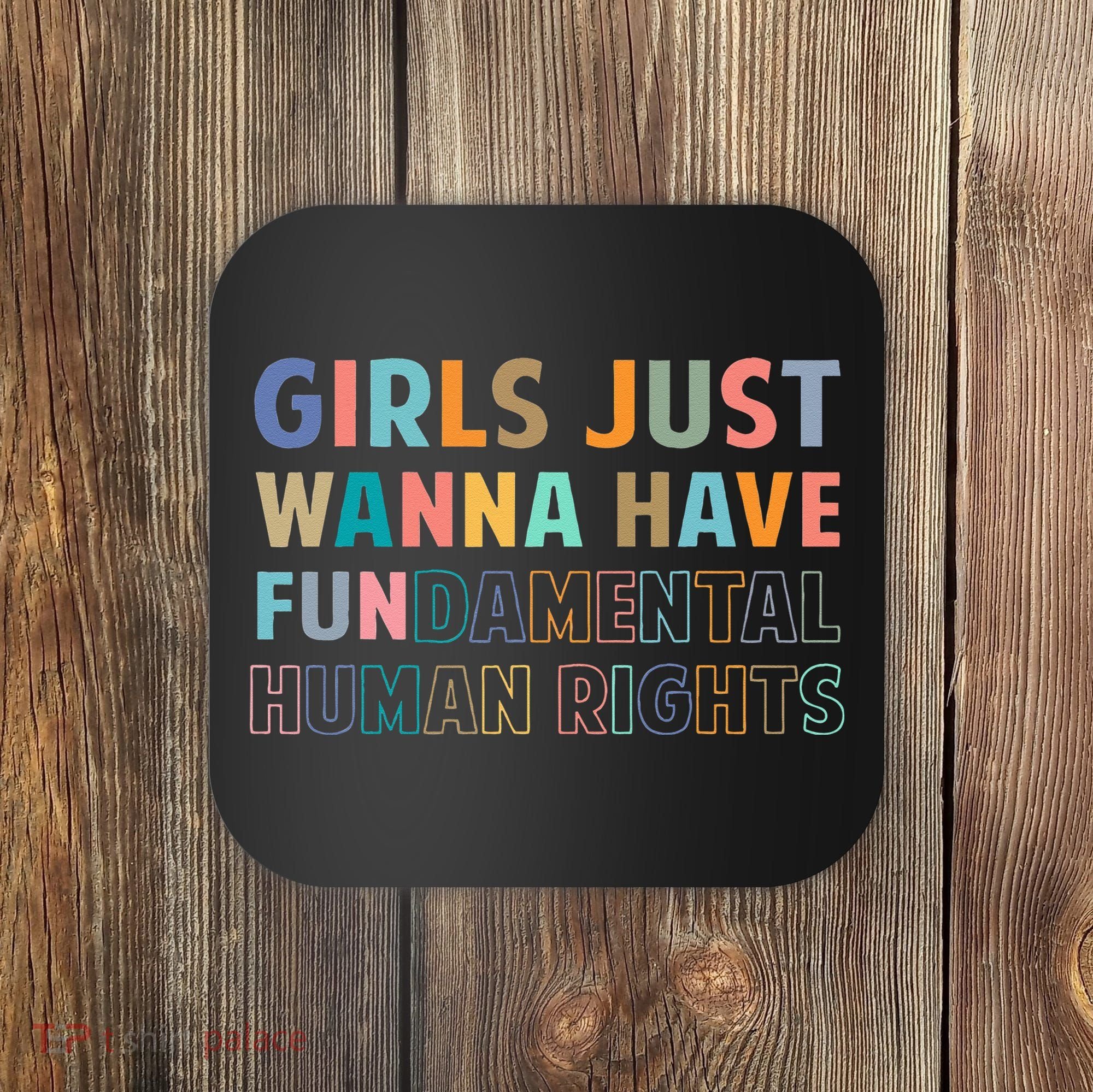Just Want To Have Fundamental Human Rights Feminist Coaster