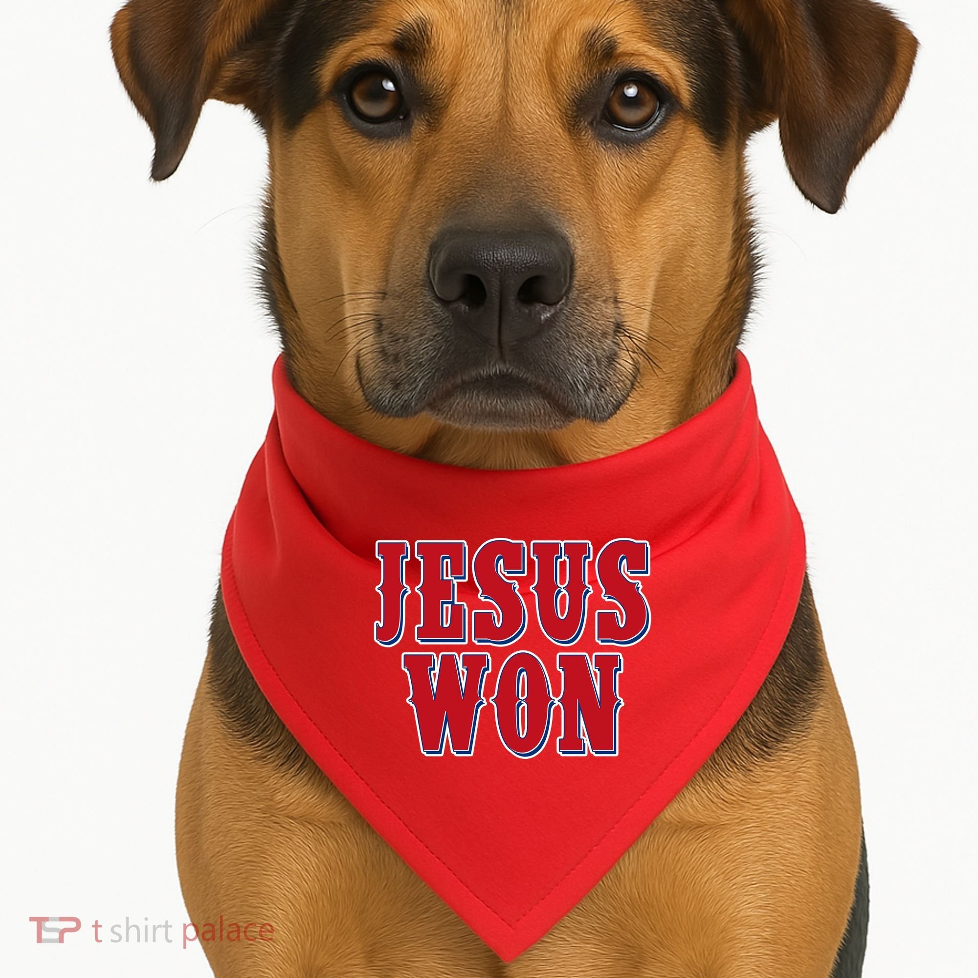 Jesus Won Texas Baseball Fan USA-Made Doggie Bandana