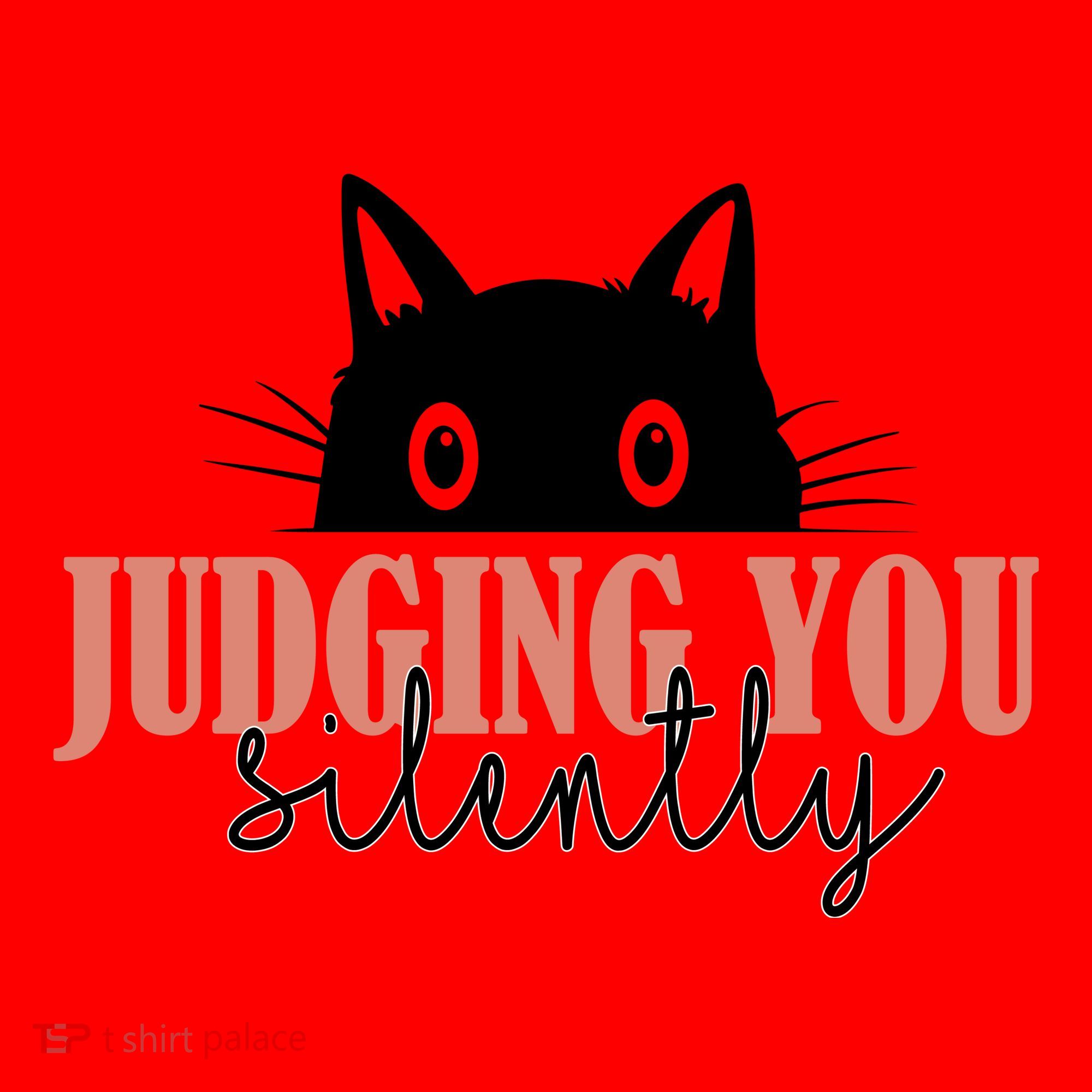 Judging You Silently Funny Black Cat Santa Hat