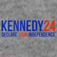 Kennedy 24 Declare Your Independence Rfk 2024 Election Toddler Hoodie thumb 2