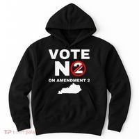 Kentucky Amendment 2 Vote No Public Schools Funding Hoodie thumb 0
