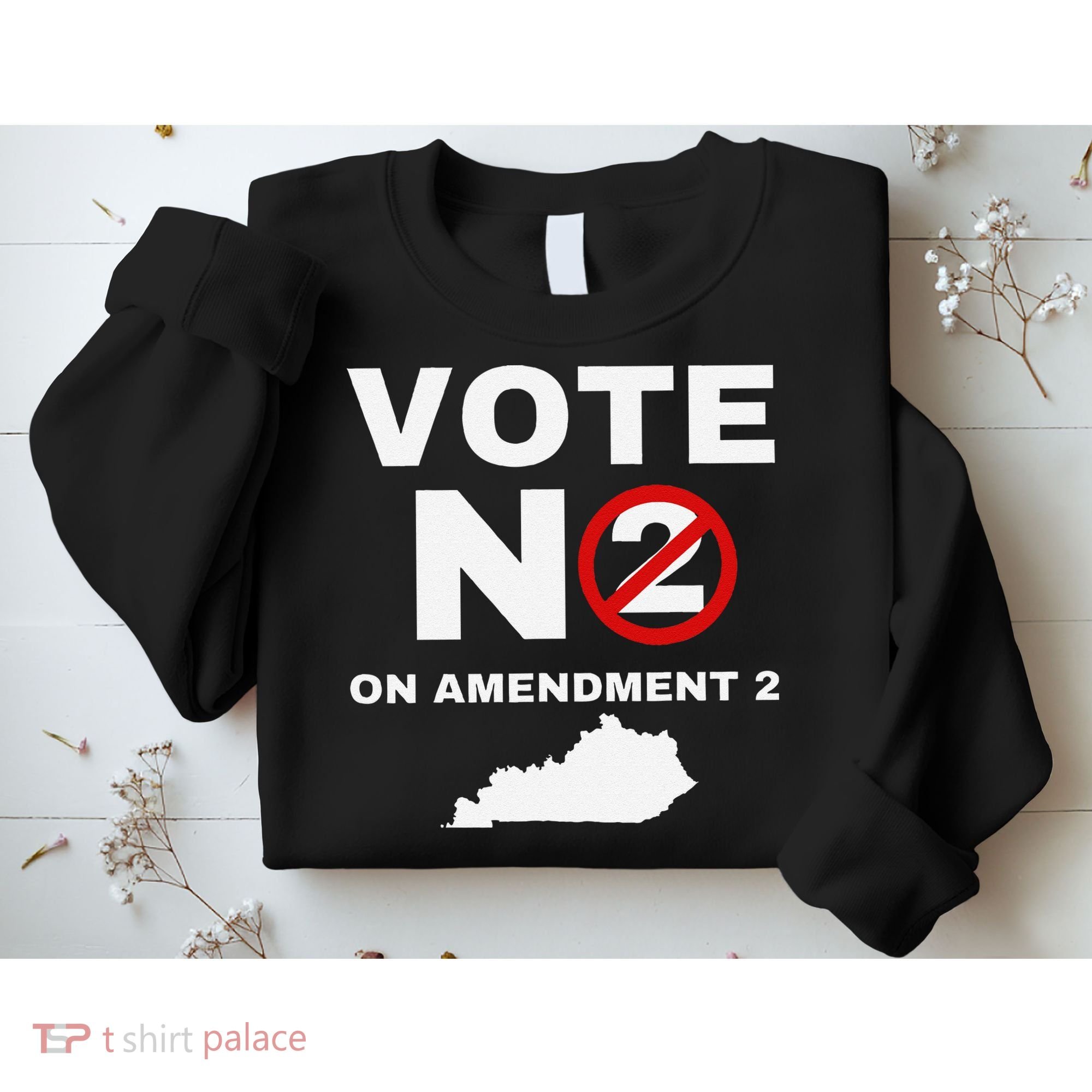 Kentucky Amendment 2 Vote No Public Schools Funding Sweatshirt