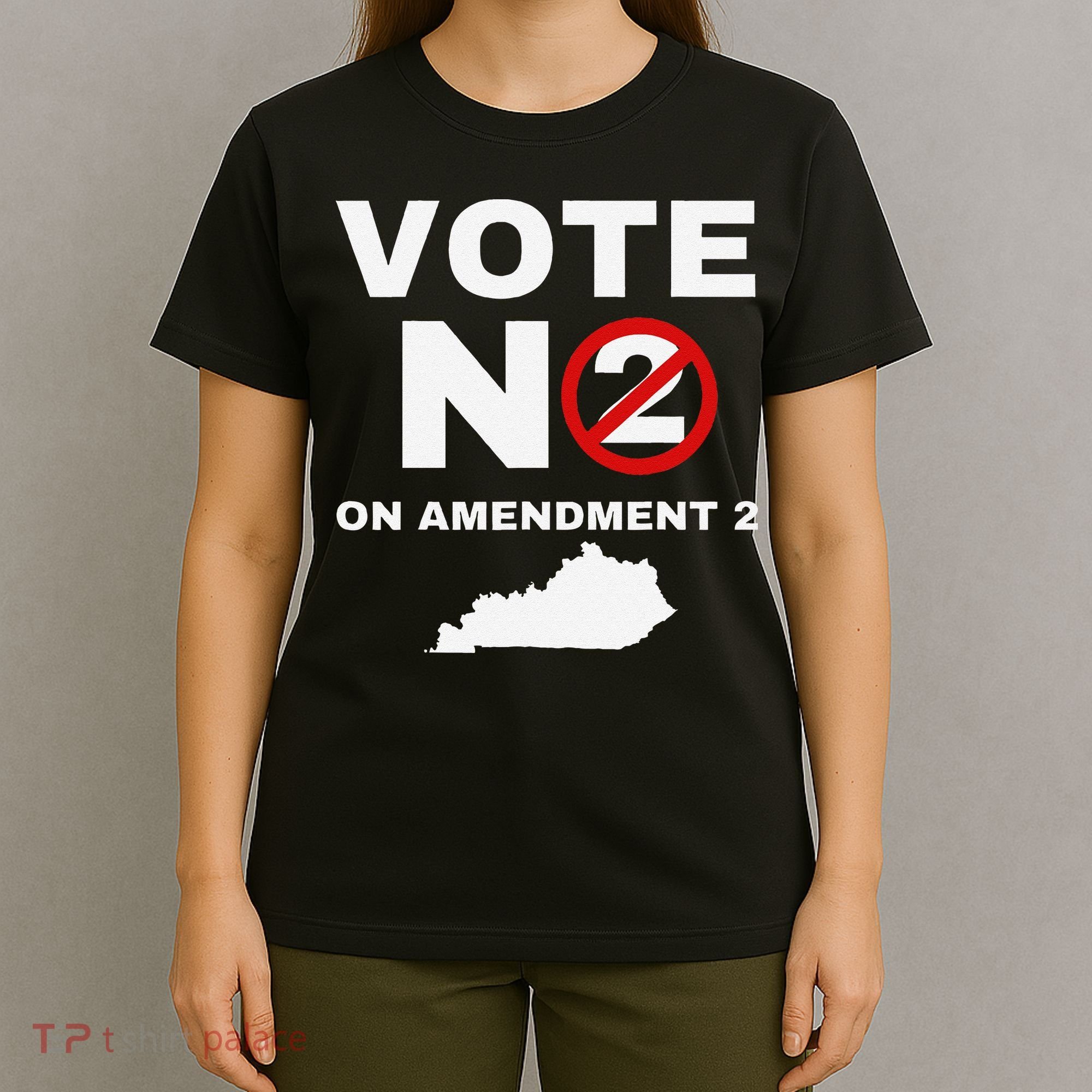 Kentucky Amendment 2 Vote No Public Schools Funding T-Shirt