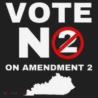 Kentucky Amendment 2 Vote No Public Schools Funding Hat thumb 2