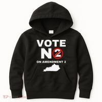 Kentucky Amendment 2 Vote No Public Schools Funding Kids Hoodie thumb 0
