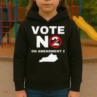 Kentucky Amendment 2 Vote No Public Schools Funding Kids Hoodie thumb 3