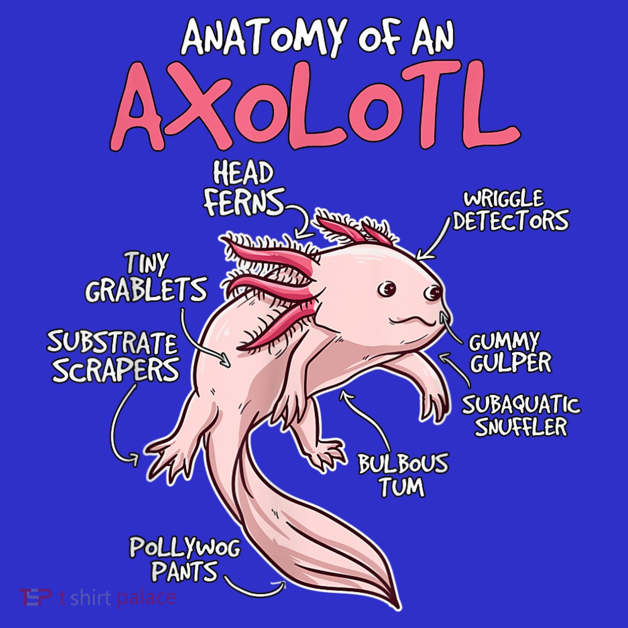 Kids Axolotl Gift Axolotl Stuff Anatomy Of An Axolotl T-Shirt