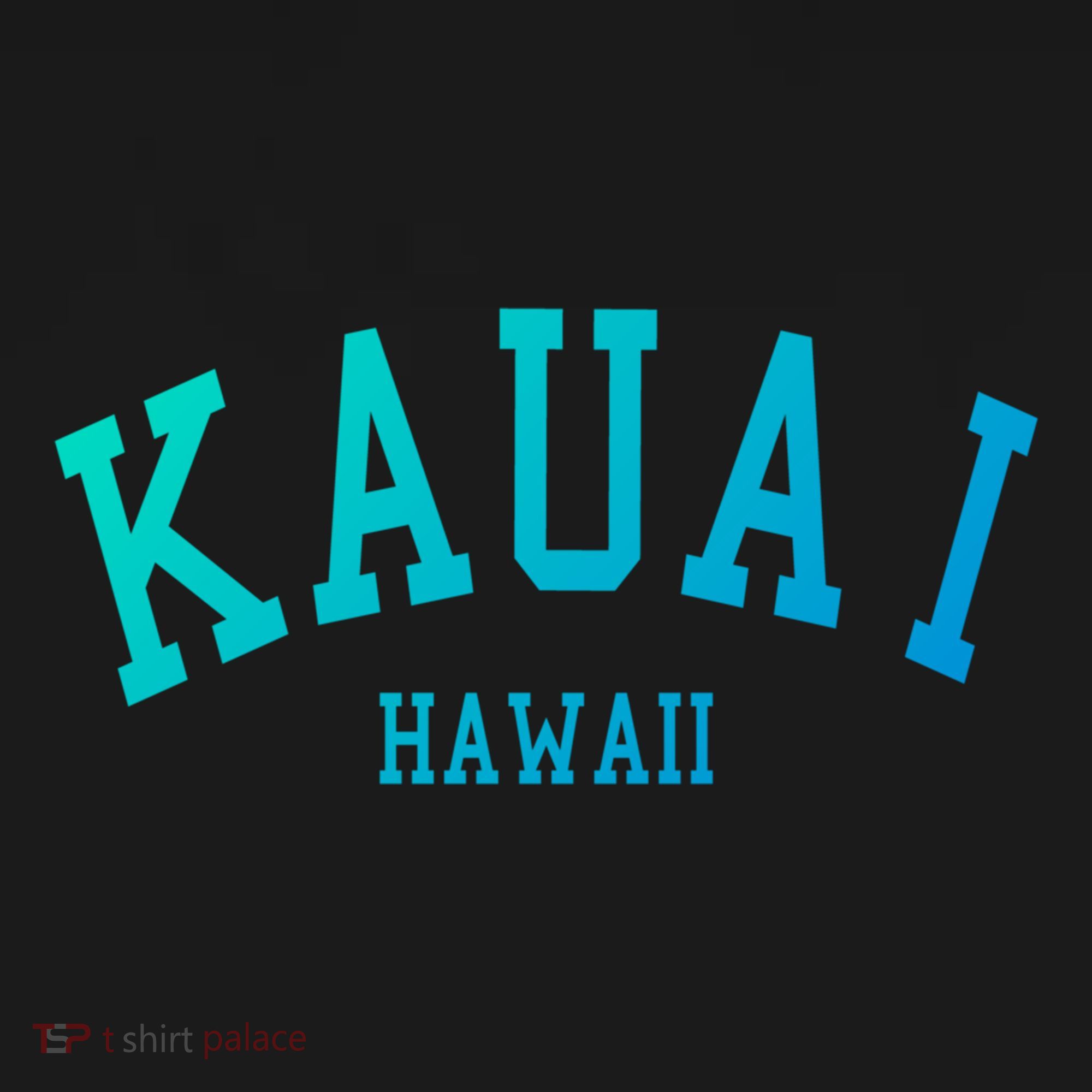 Kauai Aloha Hawaii Tribe Beach Gift Women's Hoodie