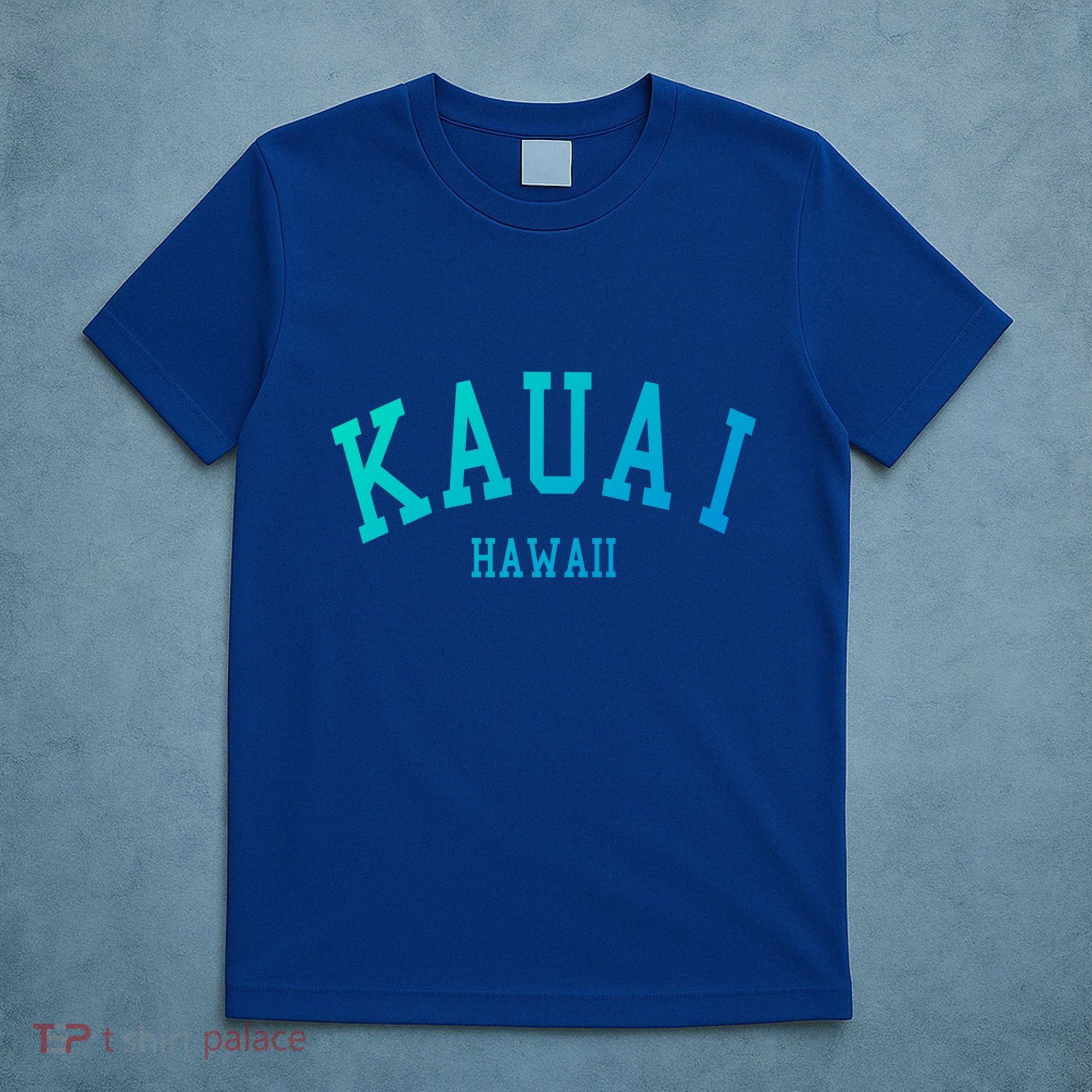 Kauai Aloha Hawaii Tribe Beach Gift T-Shirt