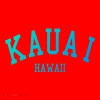 Kauai Aloha Hawaii Tribe Beach Gift Santa Hat thumb 1