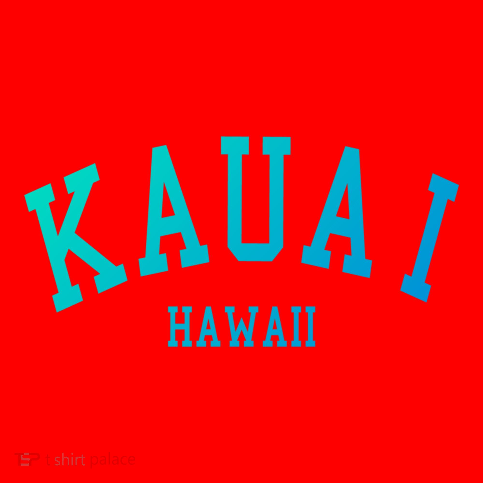 Kauai Aloha Hawaii Tribe Beach Gift Santa Hat