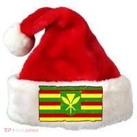 Kanaka Maoli Flag  Santa Hat thumb 0