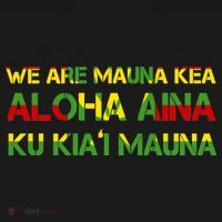 Kanaka Maoli Flag We Are Mauna Kea  Button thumb 1