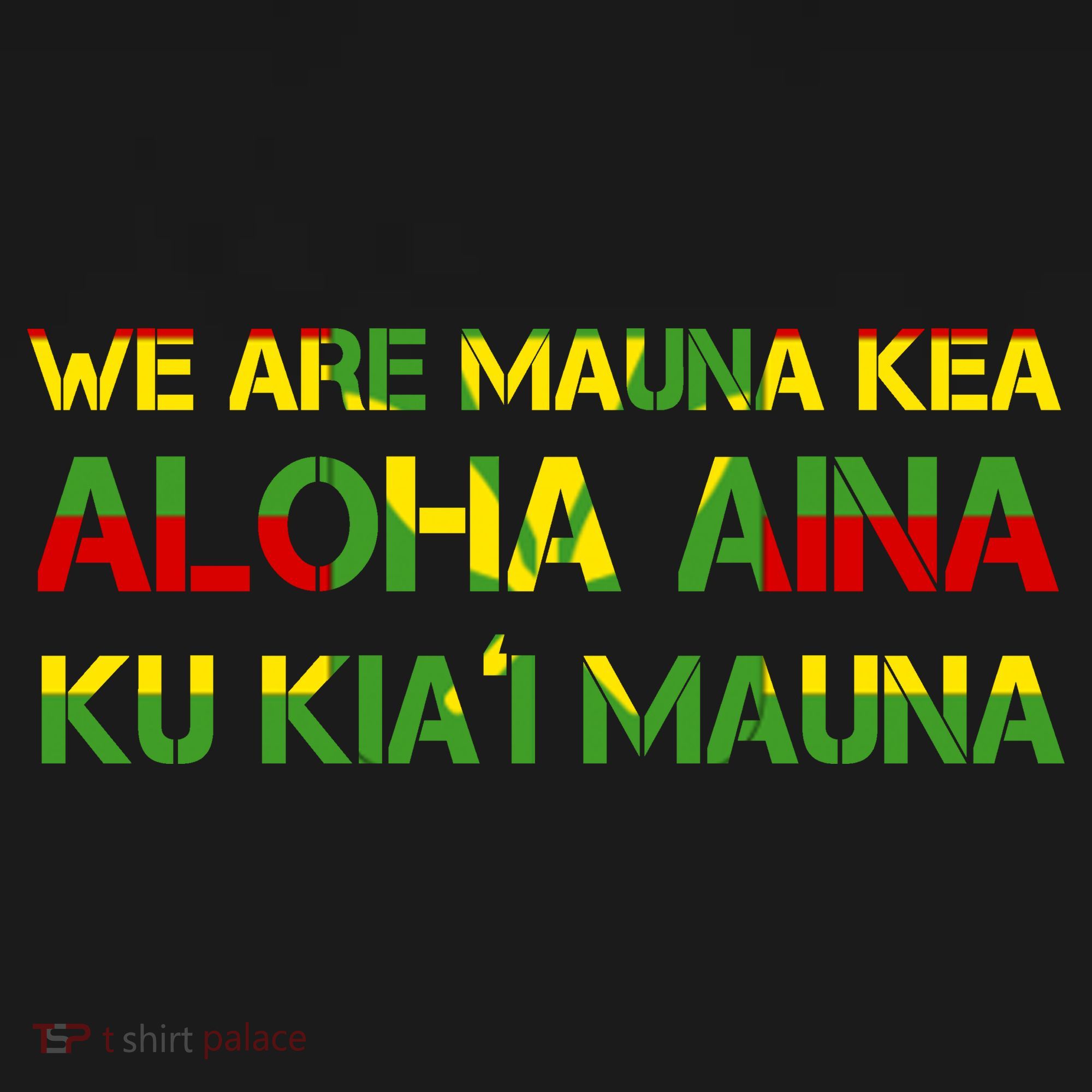 Kanaka Maoli Flag We Are Mauna Kea  Ornament