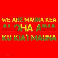 Kanaka Maoli Flag We Are Mauna Kea  Santa Hat thumb 1