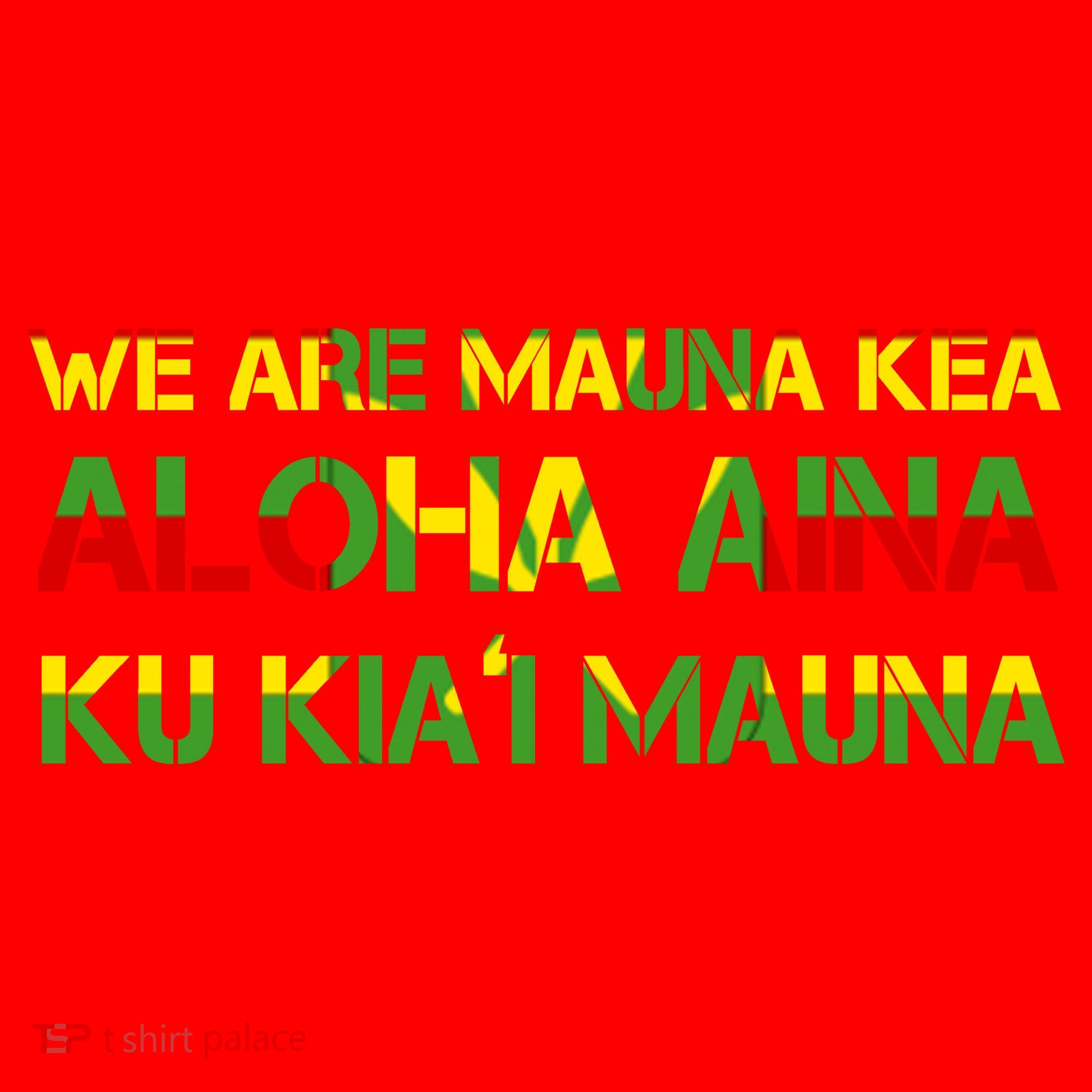 Kanaka Maoli Flag We Are Mauna Kea  Santa Hat
