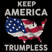 KEEP AMERICA TRUMPLESS Bucket Hat thumb 4
