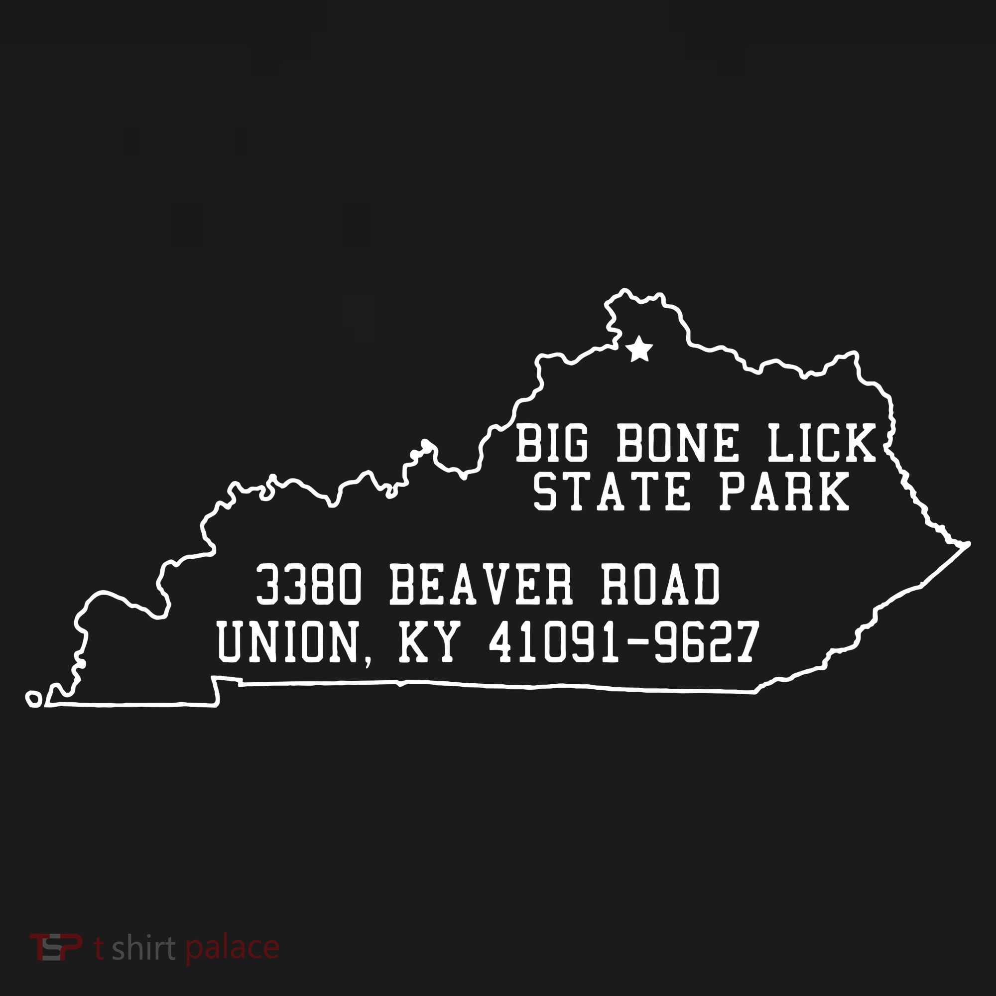 Kentucky Big Bone Lick State Park Button