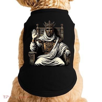 King Baldwin Iv Doggie Tank