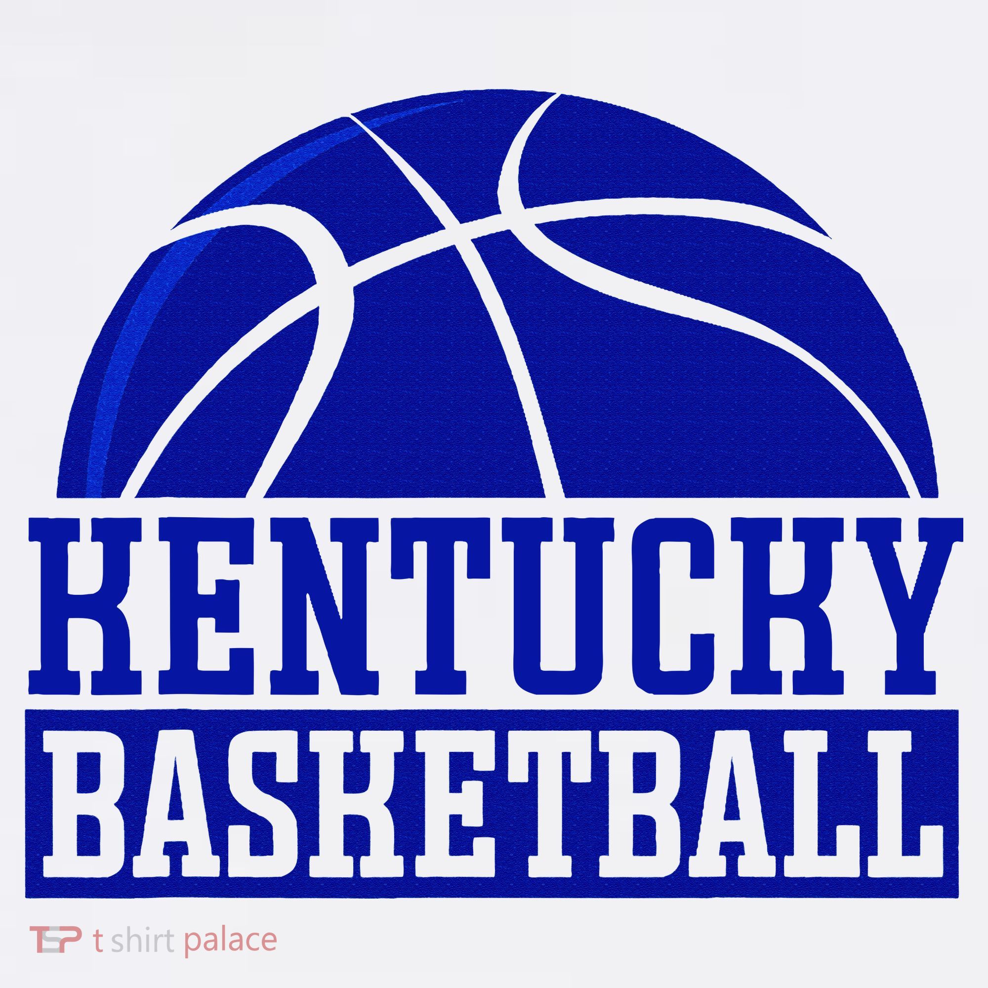 Kentucky Basketball Hat