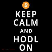 Keep Cam And Hodl On Bitcoin Ornament thumb 1