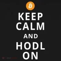 Keep Cam And Hodl On Bitcoin Women's Long Sleeve Shirt thumb 2