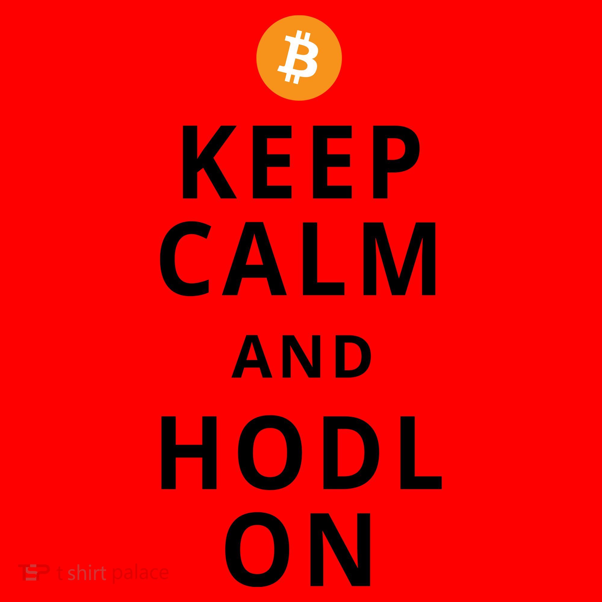 Keep Cam And Hodl On Bitcoin Santa Hat