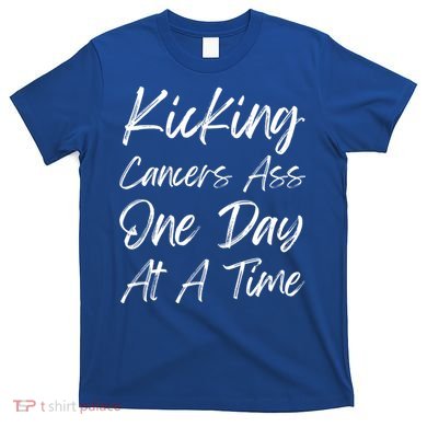 Kicking CancerS Ass One Day At A Time Cancer Awareess Gift T-Shirt