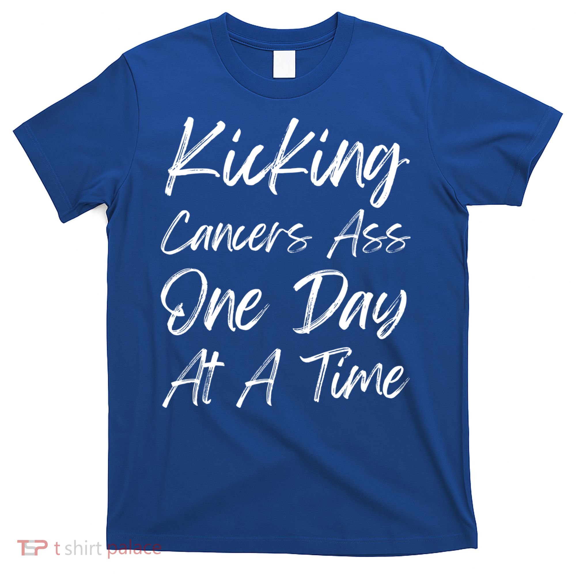 Kicking CancerS Ass One Day At A Time Cancer Awareess Gift T-Shirt